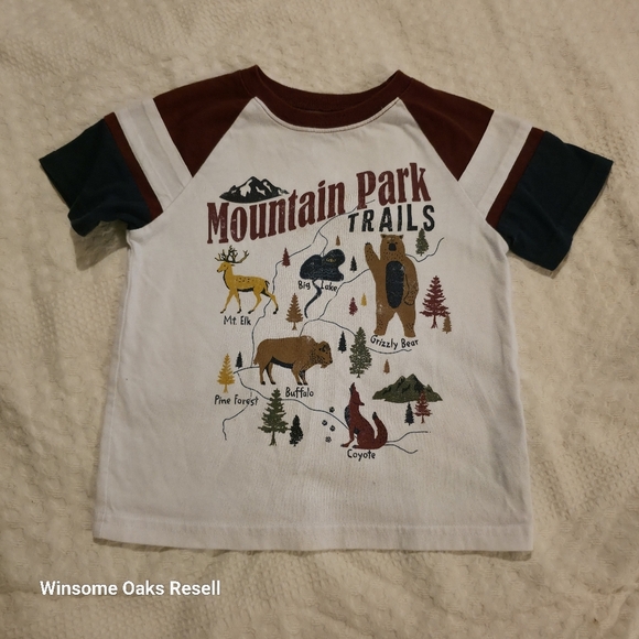 Set of Three Graphic T-Shirts 4t - Picture 3 of 5